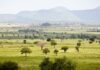Kidepo Valley National Park