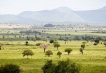 Kidepo Valley National Park