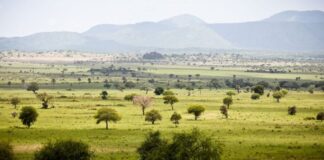 Kidepo Valley National Park