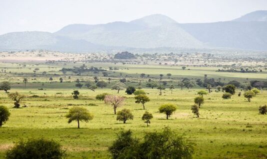 Kidepo Valley National Park
