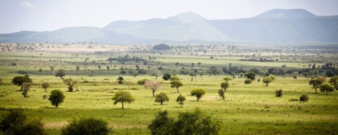 Kidepo Valley National Park