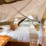 Papa’s Tented Camp